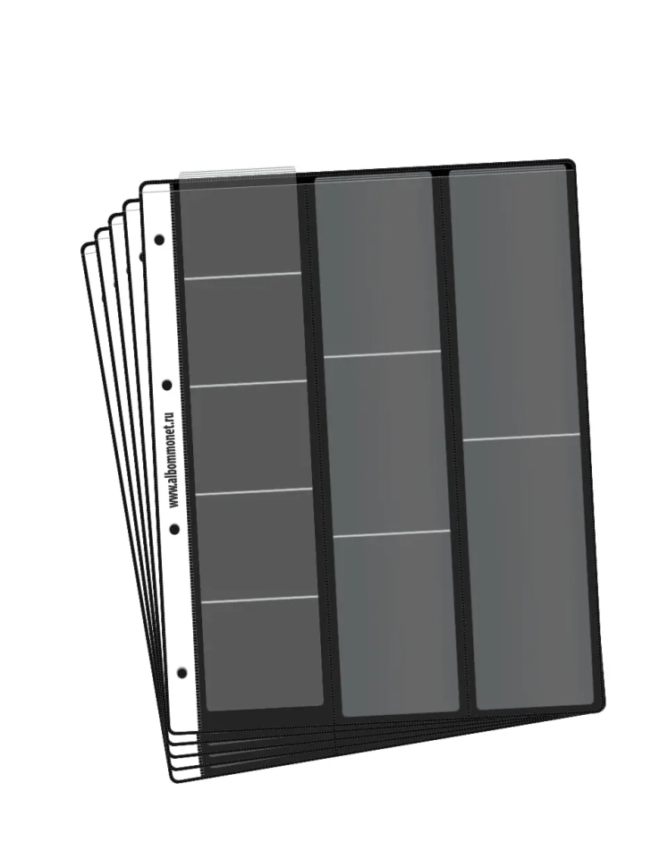 Комплект из 5-ти листов "PROFESSIONAL" на черной основе для хранения на 10 ячеек "скользящий". Формат "Grand". Размер 250х310 мм.